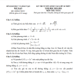 Đề tuyển sinh lớp 10 môn Toán năm 2023 – 2024 sở GD&ĐT Bắc Kạn