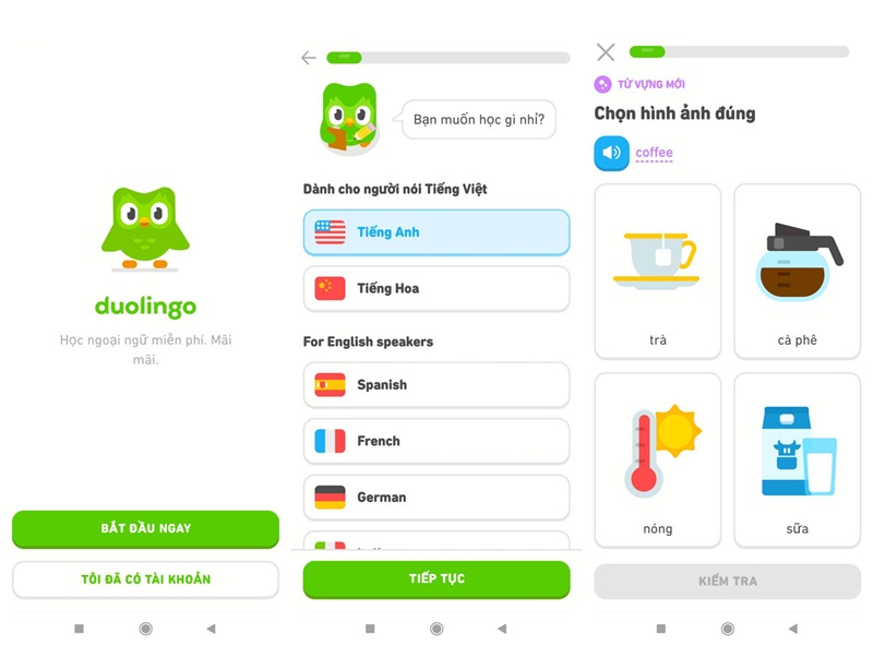 Hướng dẫn cách học tiếng Anh trên Duolingo hiệu quả
